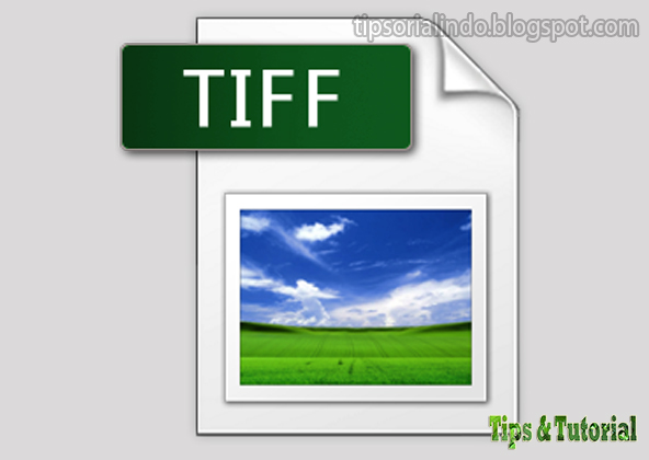 Tiff old. TIFF значок. Изображения в формате TIFF. Файл формата TIFF. Иконка графического файла.