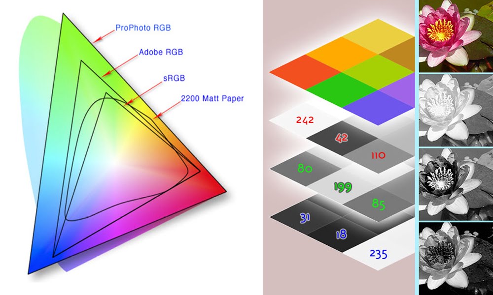 Цветовой профиль. SRGB или PROPHOTO RGB. PROPHOTO RGB И SRGB разница. PROPHOTO RGB vs Adobe RGB. PROPHOTO RGB И SRGB какой лучше.