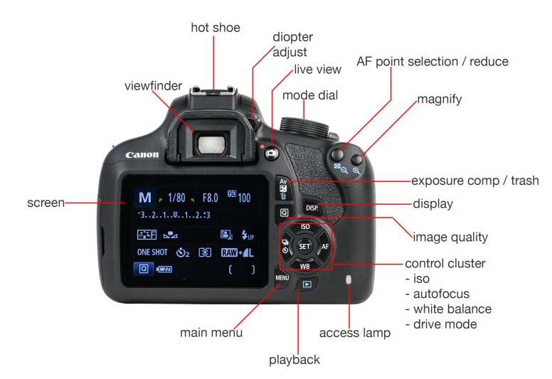 Как снять защиту изображений на фотоаппарате canon