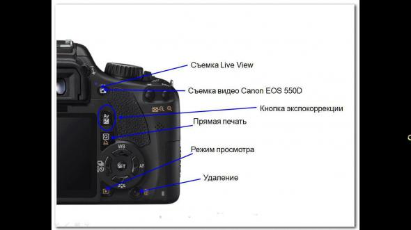 Как на canon вывести изображение на экран