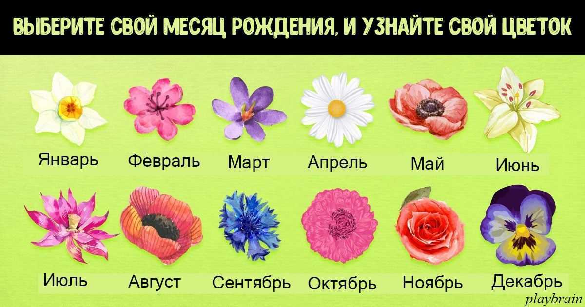 Картинки кто родился в мае