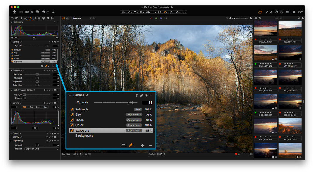 Capture one программа для обработки фотографий