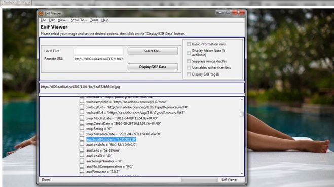 Exif данные фото. Exif информация. Картинка с exif.