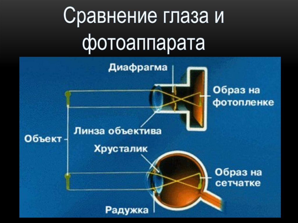 Какое изображение в фотоаппарате