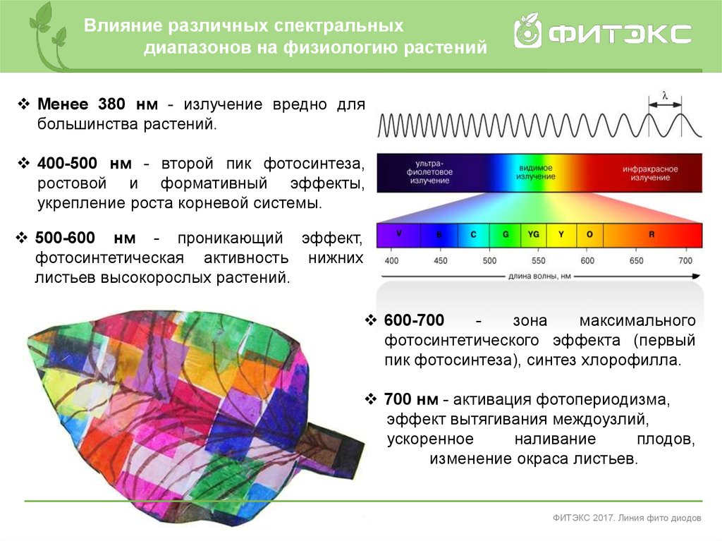 Составляющие излучения