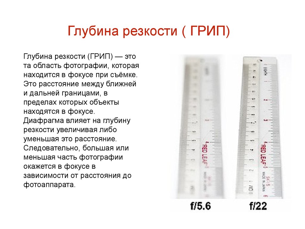 Глубина резкости в мире нет. Глубина резкости. Грип резкость. Грип глубина. Грип глубина резкости.