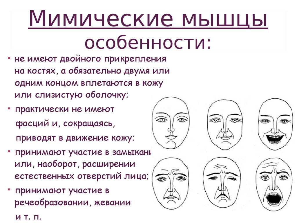 Проанализируйте изображения приложение 1 как можно по мимике лица понять эмоциональное состояние