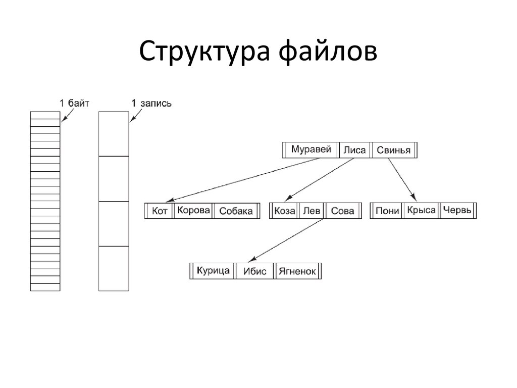 Простые файлы. Структура файловой системы схема. Внутренняя структура файла. Структура файловой записи. Типы структур файла.