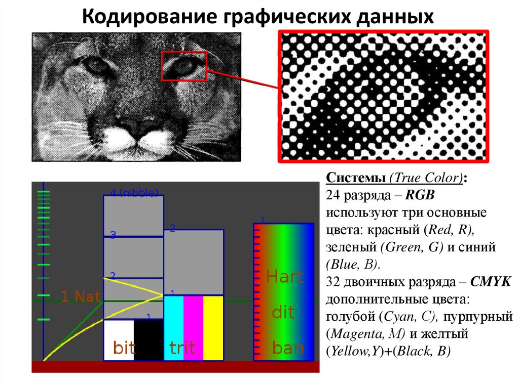 Кодирование информации кодирование изображений. Графическое кодирование. Кодирование графической информации. Растровое кодирование графической информации. Кодирование цветных графических изображений.