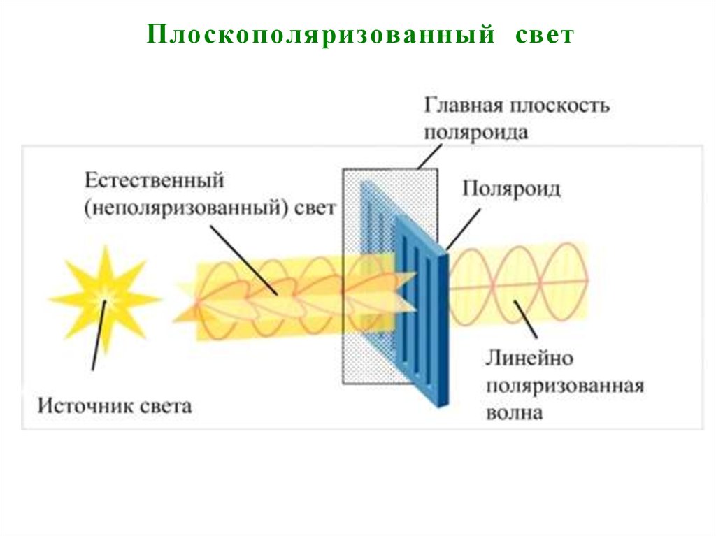 Рисунок естественного света