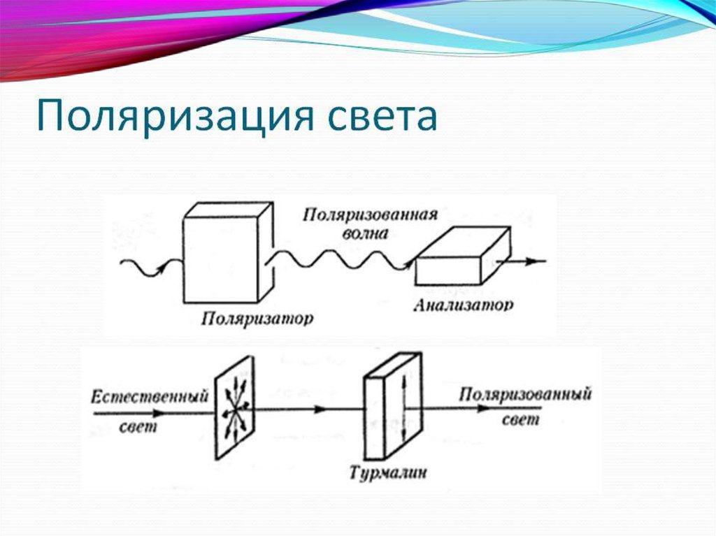 Поляризация света. Поляризатор света. Принцип поляризации света. Поляризация света презентация.