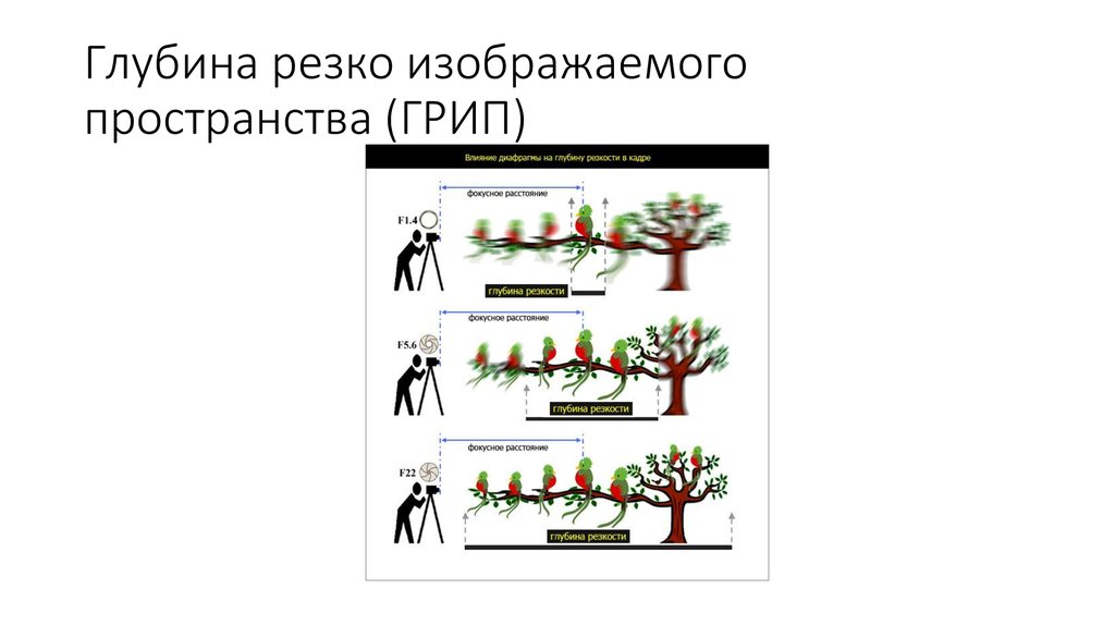 Изменения резкости изображения при быстрой смене величины увеличения это обеспечивается