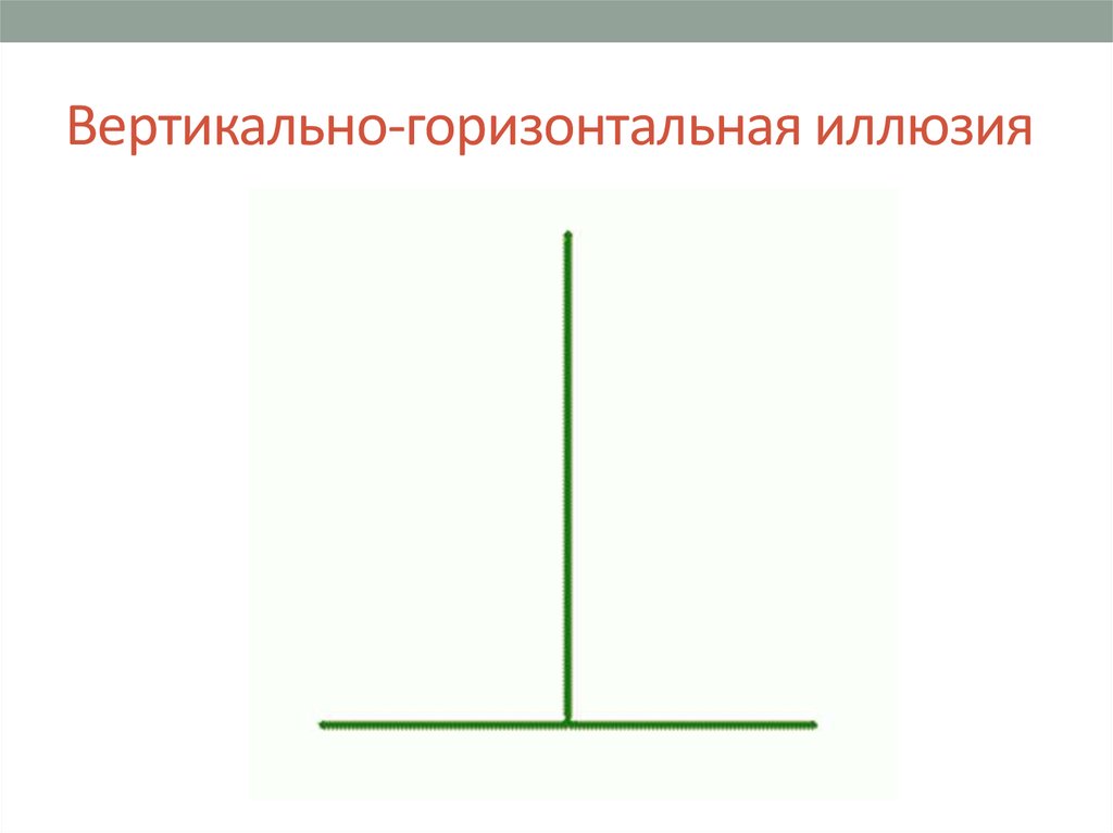 Картинка по горизонтали и по вертикали