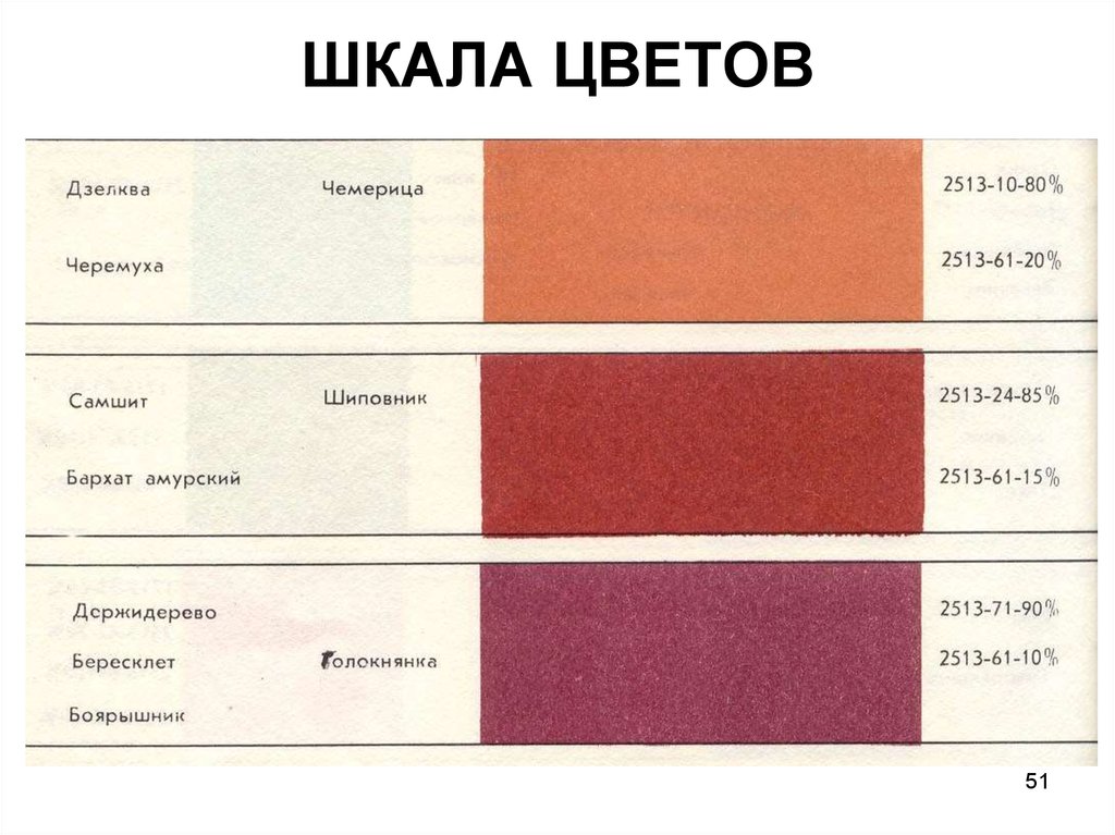 Шкала цветов. Шкала цветов повреждения. Шкала цветности. Градация тона. Цветовая градация шкала.