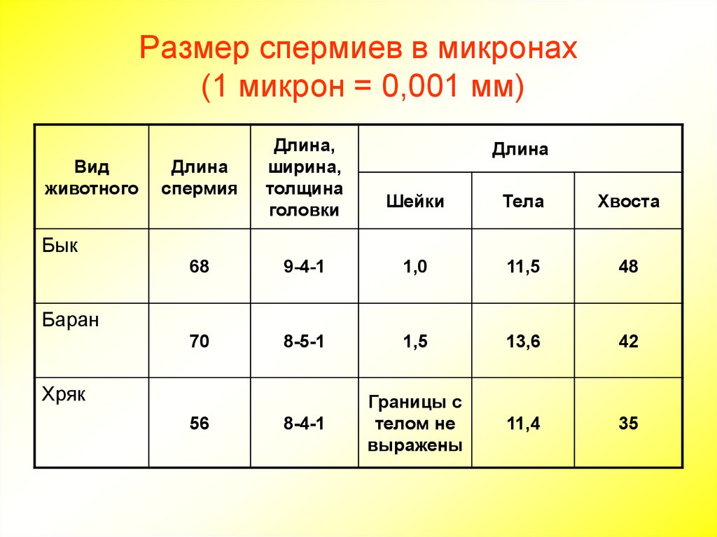 Диаметр мкм. Микрон размер. Толщина 1 микрон. Толщина в микронах. 1 Микрон в мм.