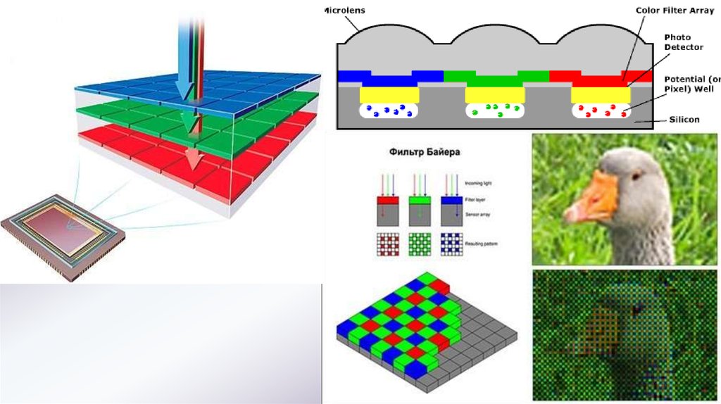 Устройства пиксель. ПЗС-матрица фильтр Байера. Схема цветных светофильтров матрицы фотоаппарата. Фильтр Байера в матрице цифрового фотоаппарата. Шаблон Байера.