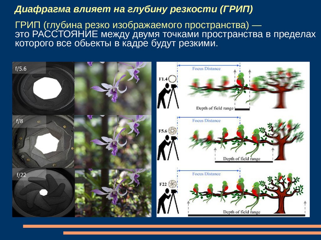 Диафрагма 2. Глубина резкости. Грип глубина резкости изображаемого пространства. Глубина резкости в фотоаппарате. Глубина резко изображаемого пространства.