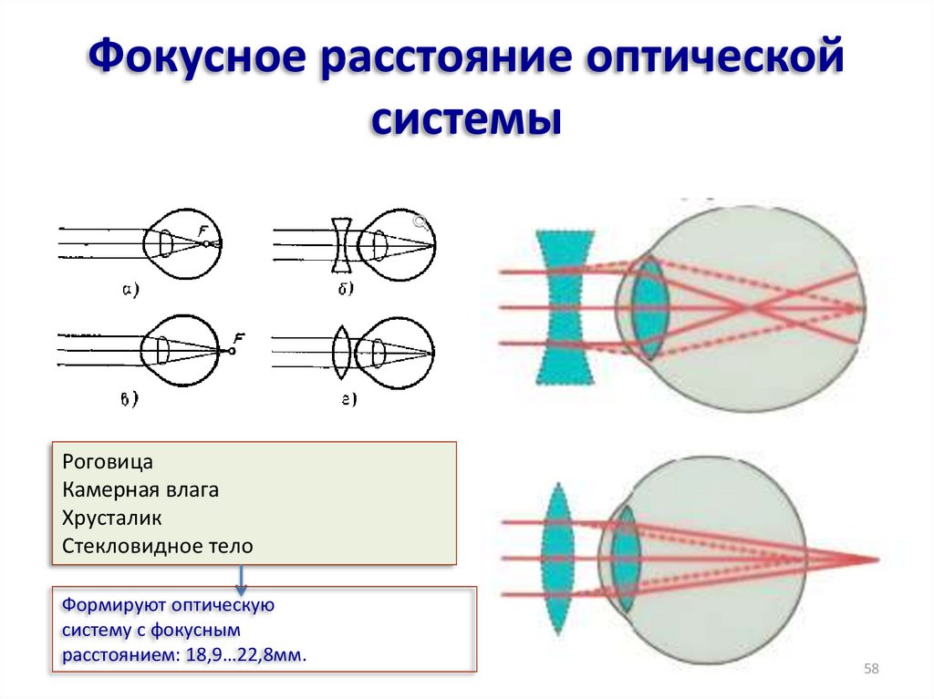 При увеличении фокусного расстояния размер изображения