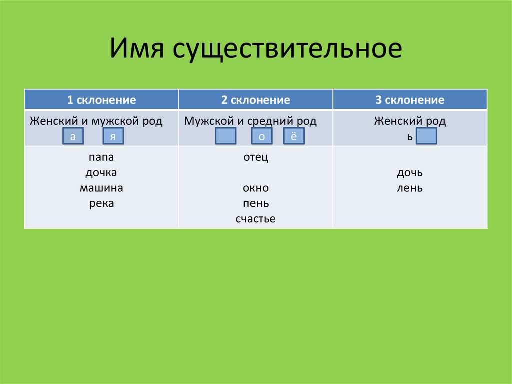 Стол мужской род