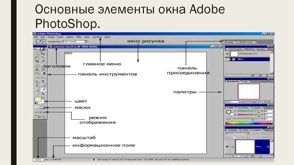 4 основных элементов. Элементы главного окна Adobe Photoshop. Перечислите основные элементы окна. Стандартные элементы окна. Главное окно приложения.