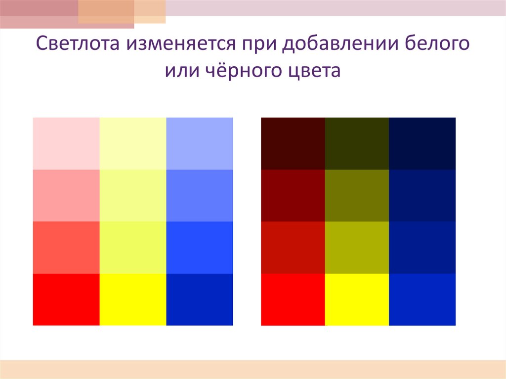 Цветозаполнение фронтлайта от делает изображение насыщенным и контрастным