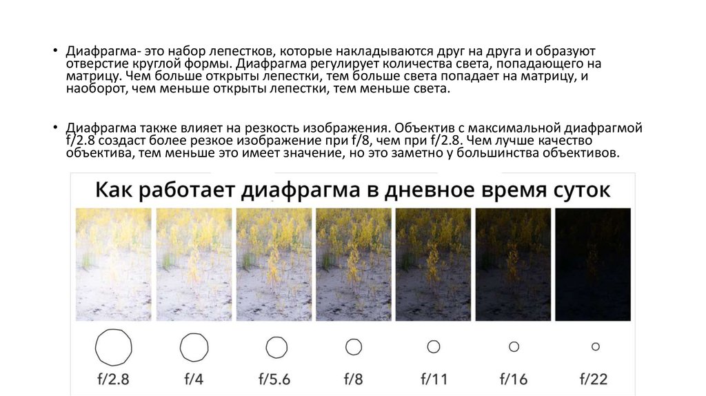 Выдержка vs. Диафрагма с круглым отверстием.