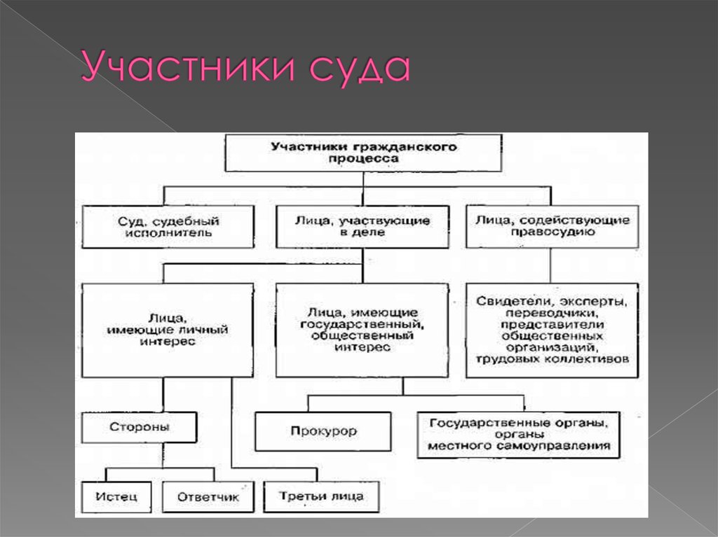 Схема гражданского судопроизводства