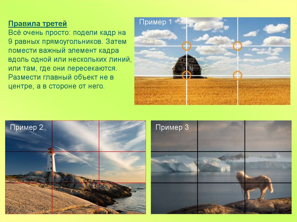 Жанры фотографии презентация