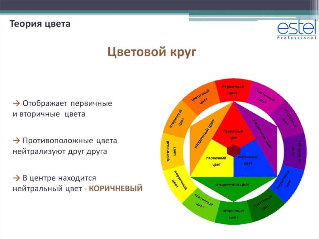 Теория цветов. Теория цвета колористика. Теория цвета для парикмахеров. Направление цвета в колористике таблица. Семинар теория цвета.