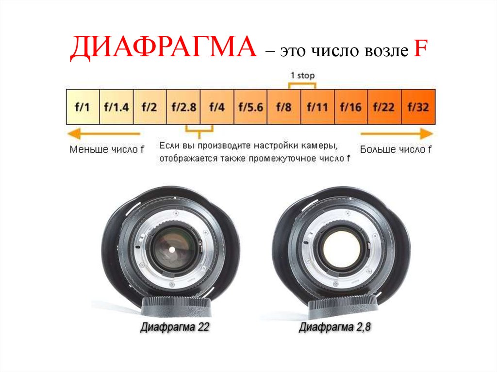 Диафрагма 1. Диафрагма. Число диафрагмы фотоаппарата. Диафрагменное число объектива. Стандартные диафрагменные числа.