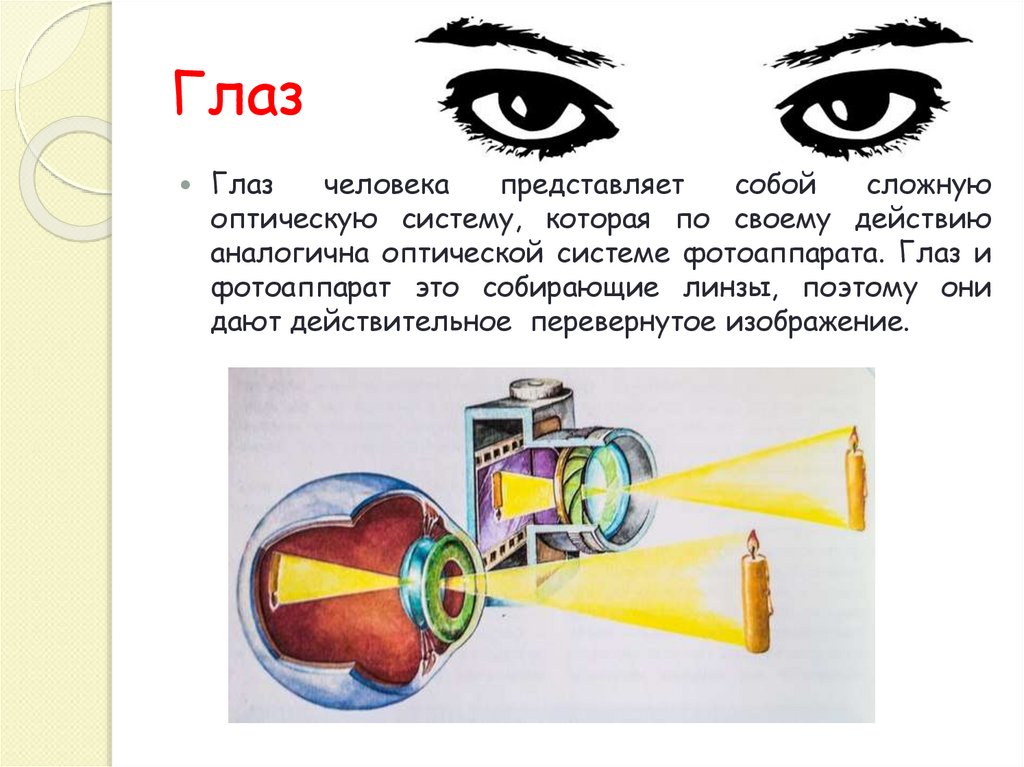 Какое изображение получается на сетчатке глаза человека ответ по физике