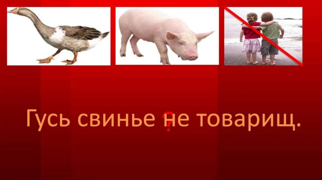 Чего не хватает на картине. Гусь свинье не товарищ. Выражение Гусь свинье не товарищ. Гусь свинье не товарищ сказка. Гусь свинье не товарищ картинки.