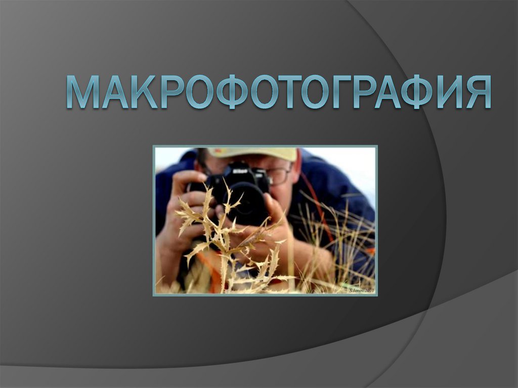 Виды фотографий презентация