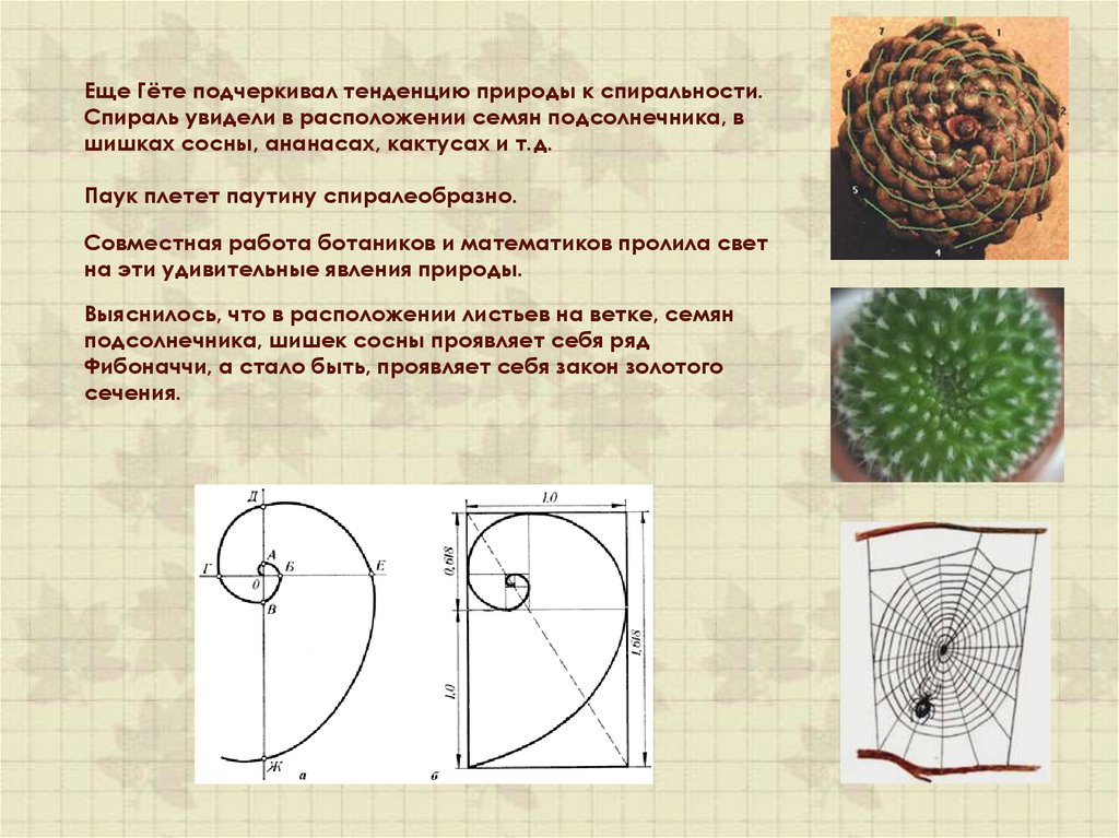 Числа фибоначчи определяются формулами