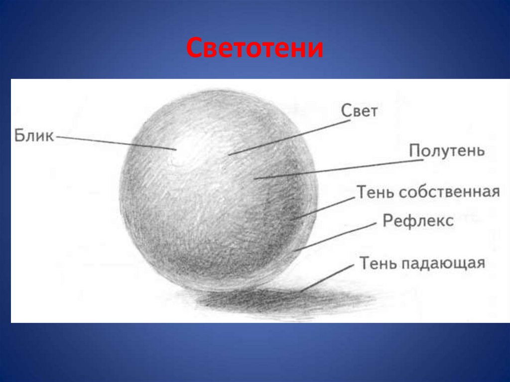 Светотень как правильно рисовать