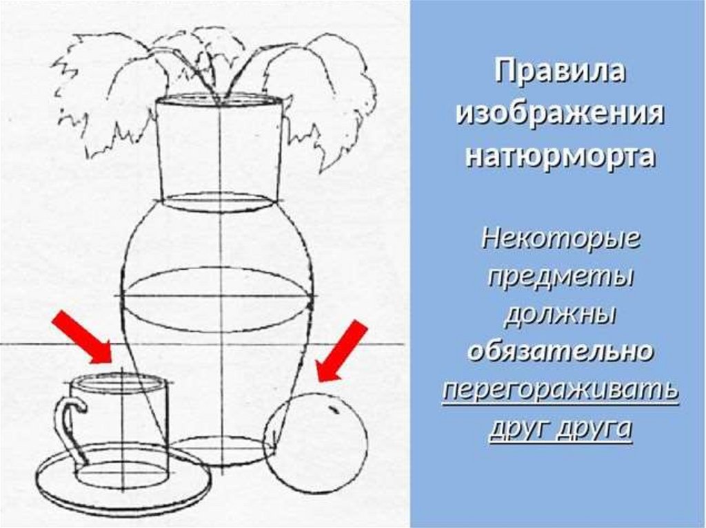 Правила натюрморта