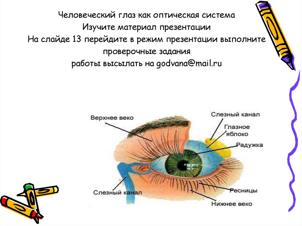 Сколько кадров в глазах