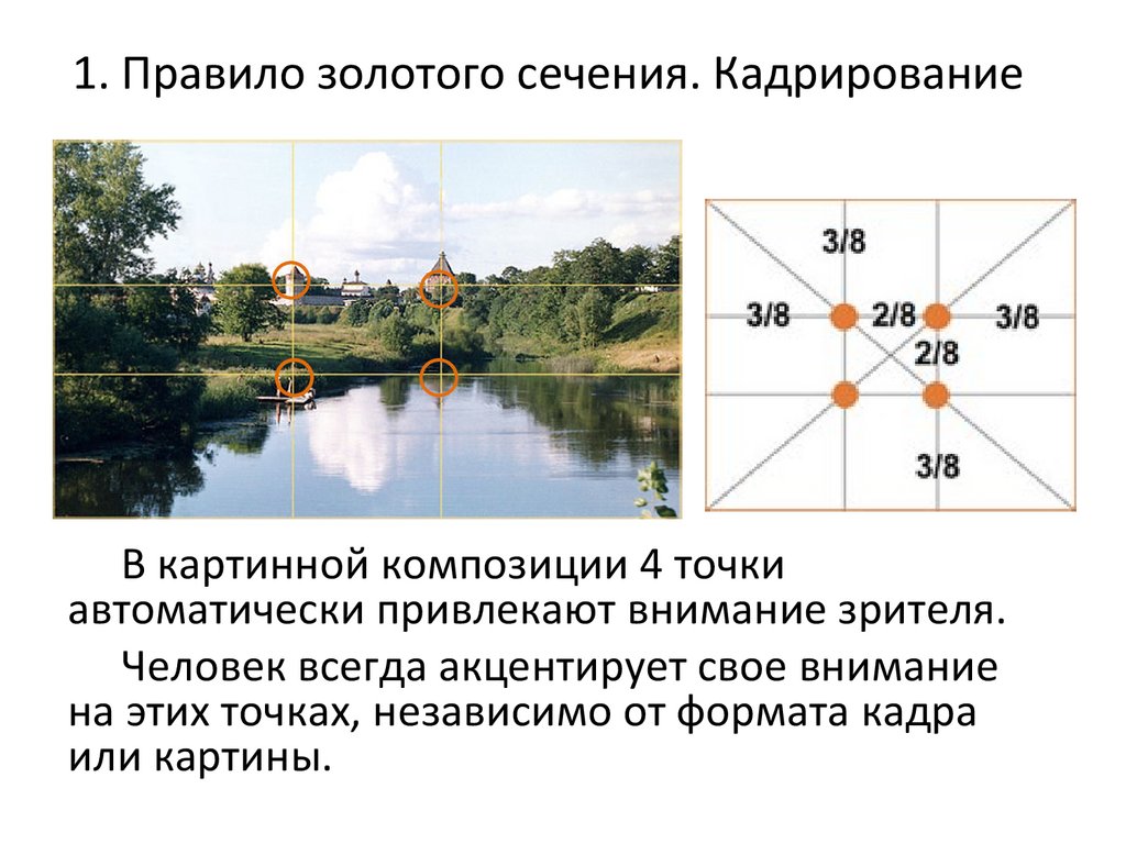 Правило золотого сечения в композиции картины