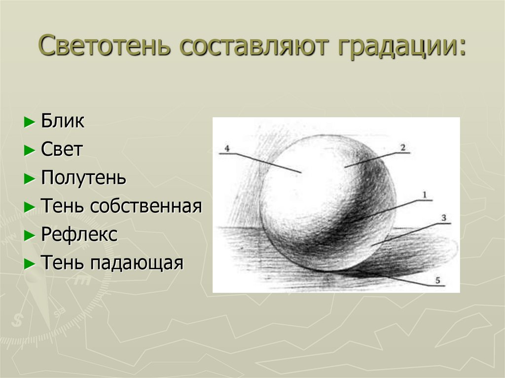 Основы рисунка карандашом