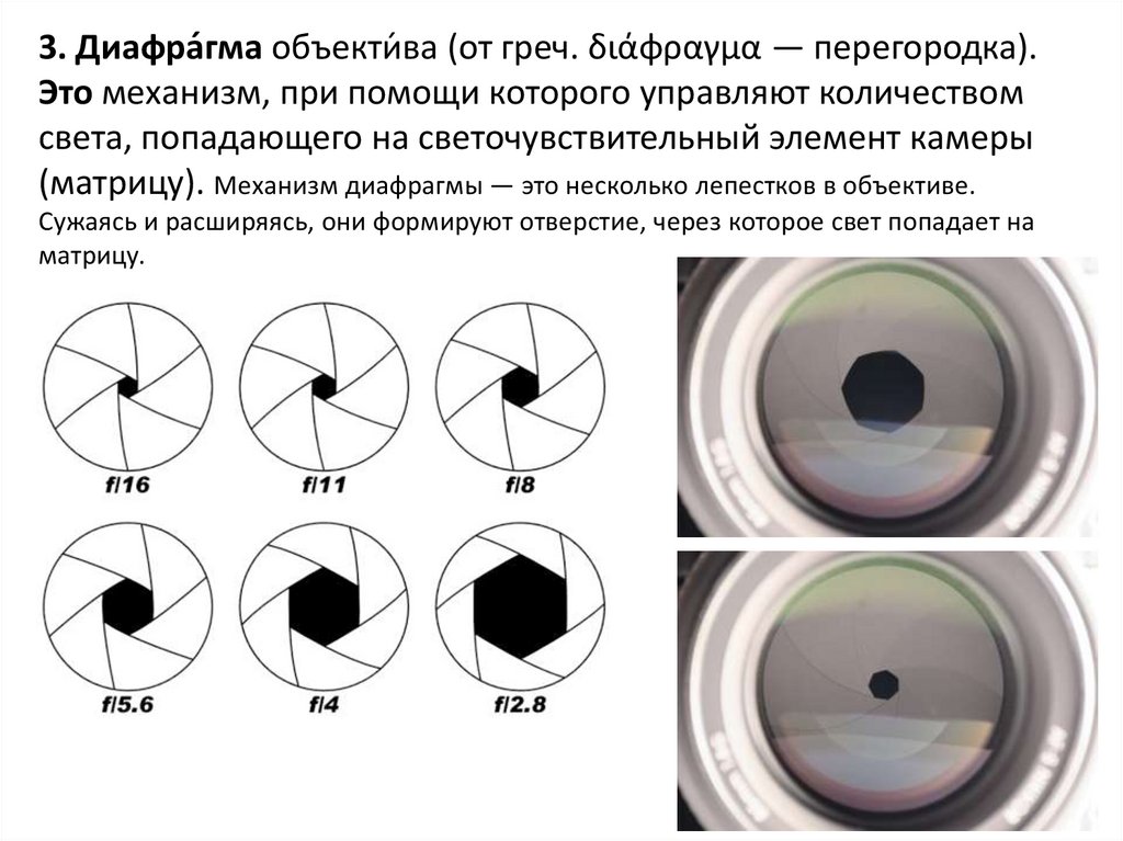 Часть фотоаппарата формирующая оптическое изображение на светочувствительном материале