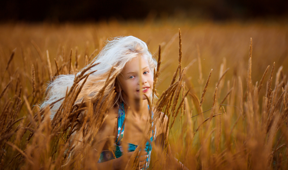 Песня светлые волосы. Девушка с пшеничными волосами. Девочка с пшеничными волосами.