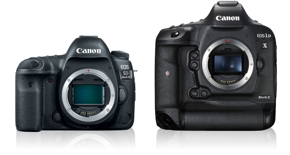 1 dx. Canon 1dx Mark 4. Canon 5d Mark IV vs 1dx Mark III. Canon 5d Mark 4 разъемы. Canon 5d Mark II экспонометр.