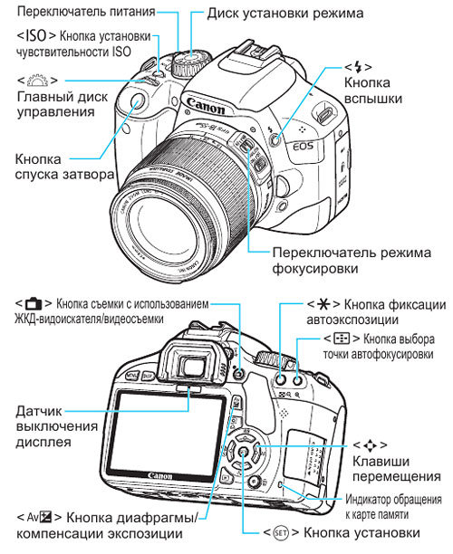 Каким получается изображение предмета на пленке или дисплее фотоаппарата