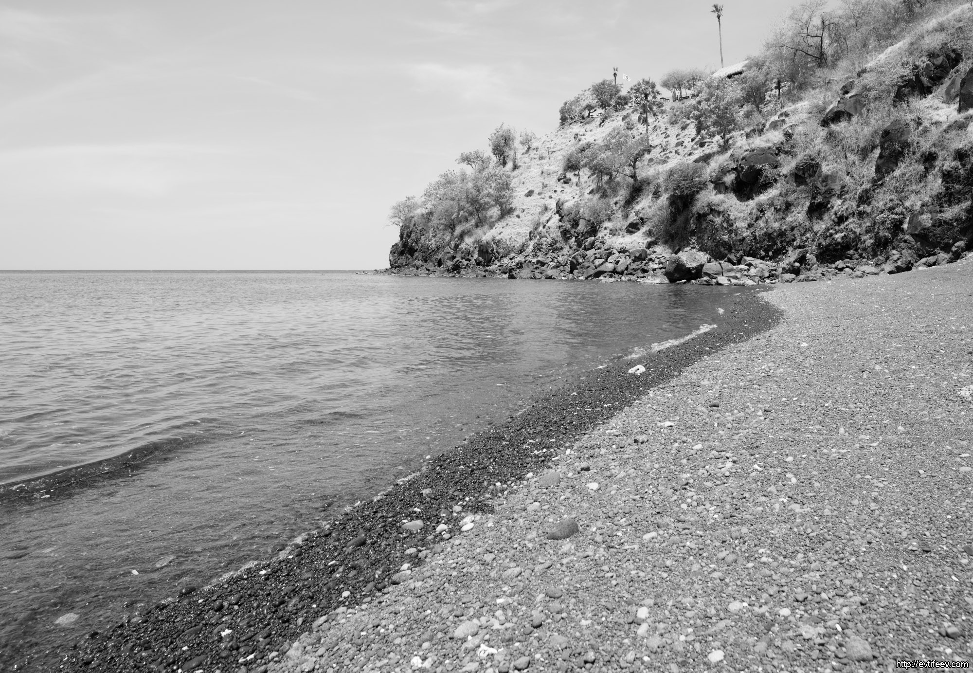 Контрастные (цветные) светофильтры B+W