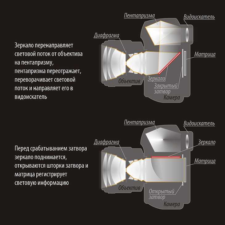 Схема зеркального фотоаппарата