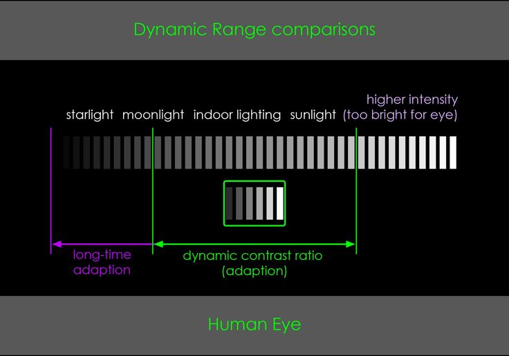 Динамический диапазон в фото