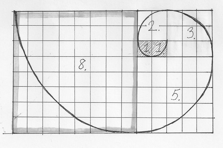 Как нарисовать спираль фибоначчи