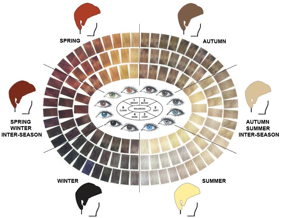 Формула цвета. Колористика волос схемы. Колористика схемы окрашивания волос. Схема цветов для окрашивания волос. Колористика цветов волос.