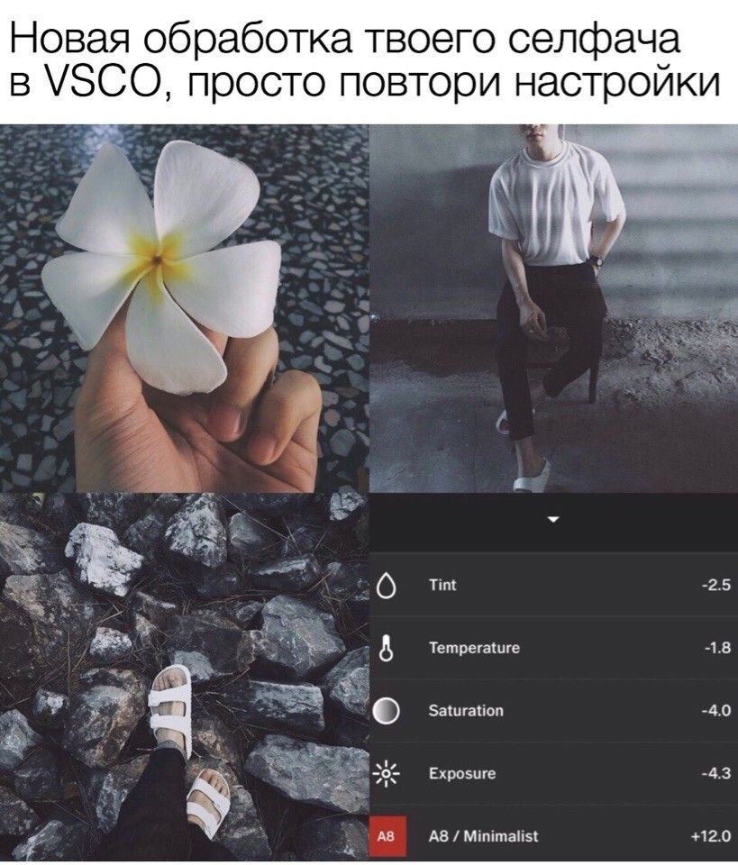 Vsco редактор фото и видео