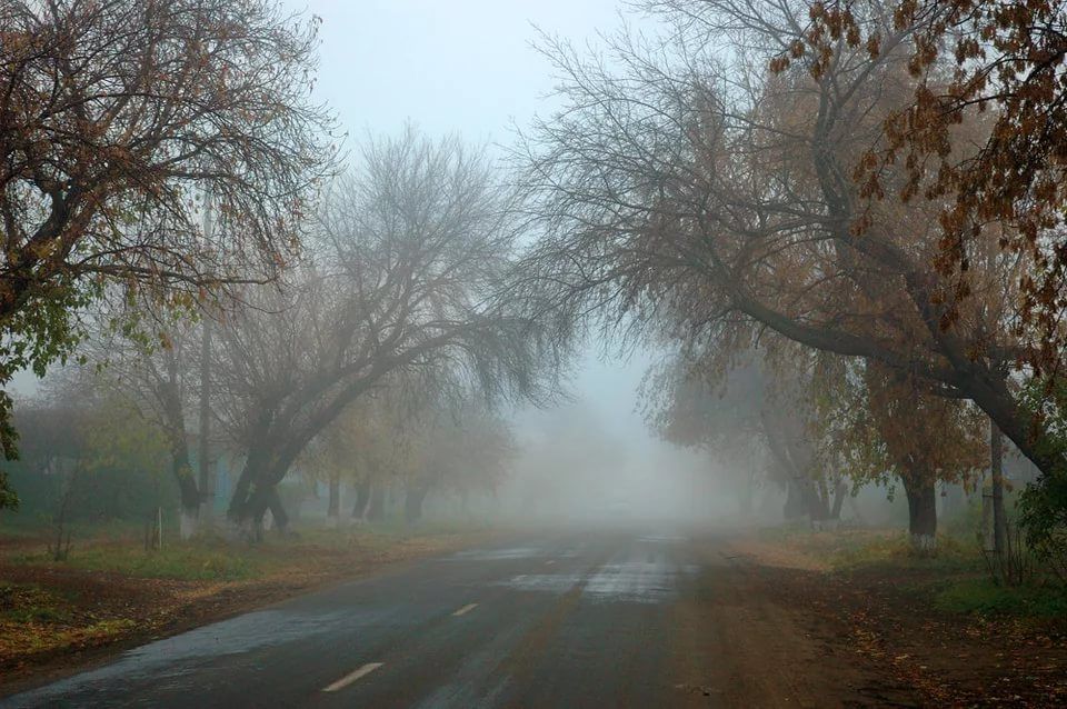 Фото в пасмурную погоду